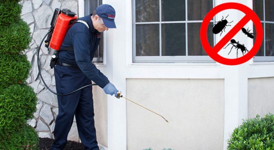 Kaynaşlı Akrep İlaçlama böcek ilaçlama ve haşere kontrolü — ilaclama-tr.com